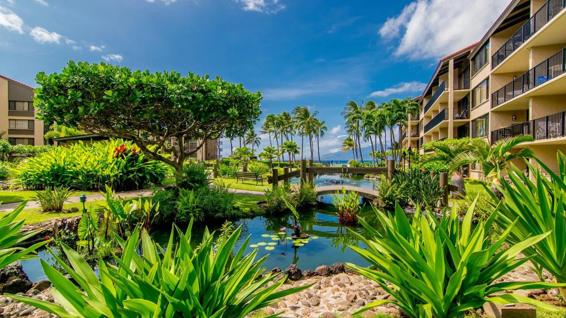 Papakea E404 Villa Kahana 0*,  United States